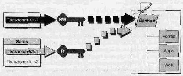 Пример разрешений NTFS для файла